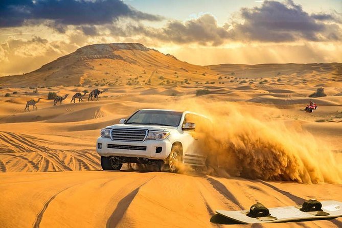 Activities to Do in a Desert Safari Experience