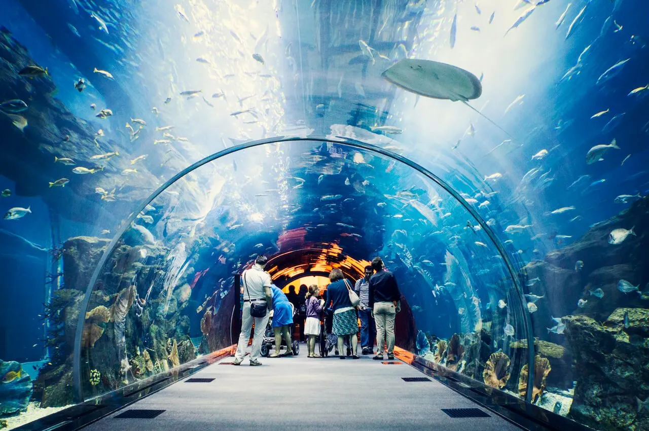 UAE Attractions for Kids
